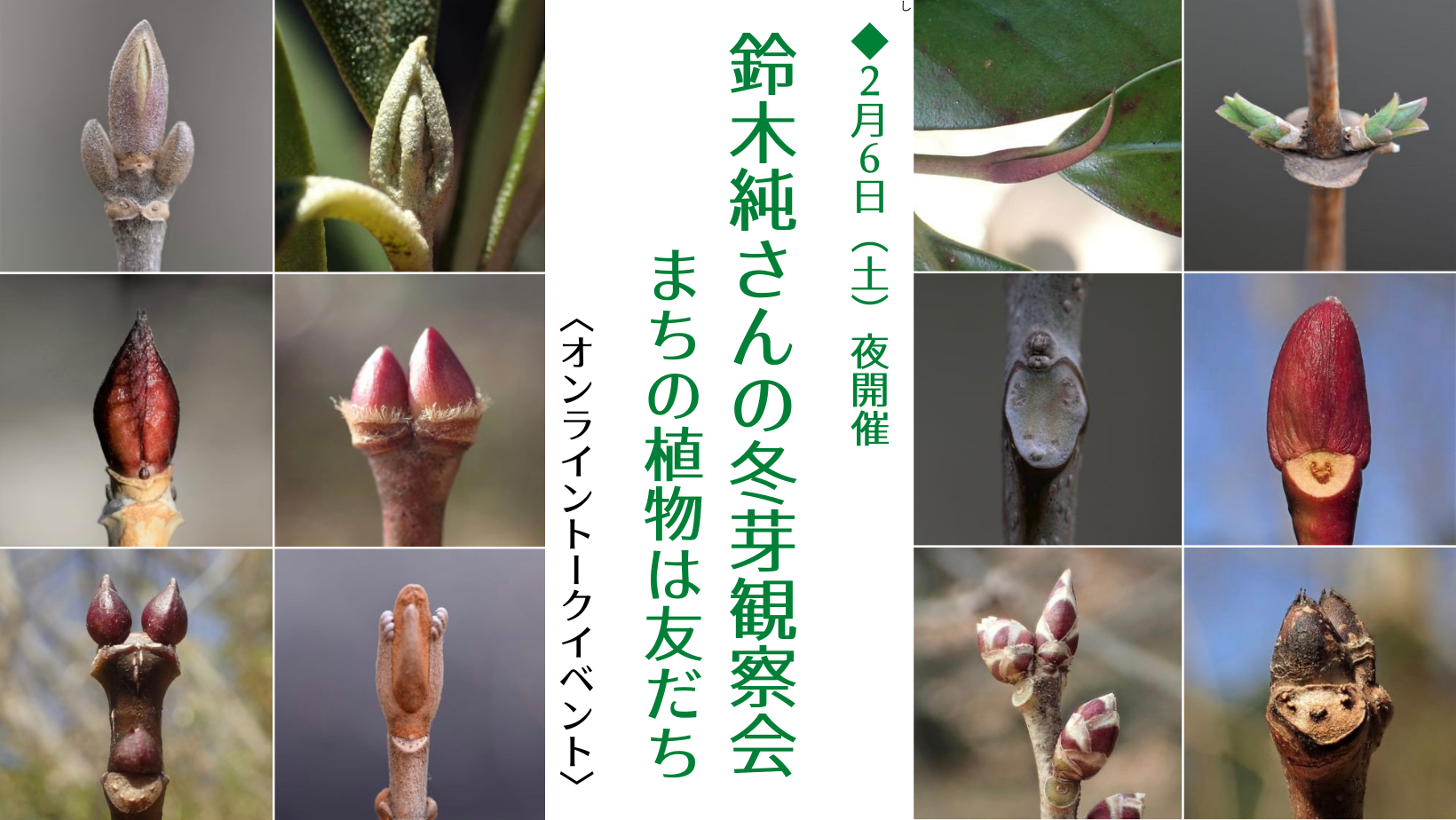 2／6土夜＜オンライントークイベント＞『 鈴木純さんの冬芽観察会 ～まちの植物は友だち 』