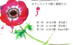 12/16(土) イラストレーターKaori yoshiokaさんと カラーインクで描く植物たち
