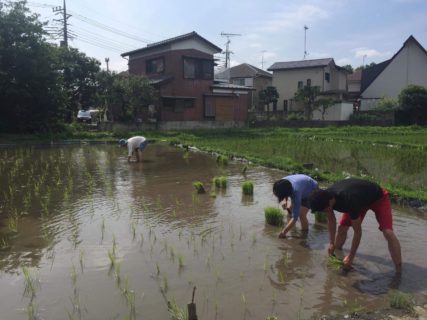 11/24(日)昼開催『やっほー！農楽暮楽／たびくるマルシェ in カフェスロー vol.01』