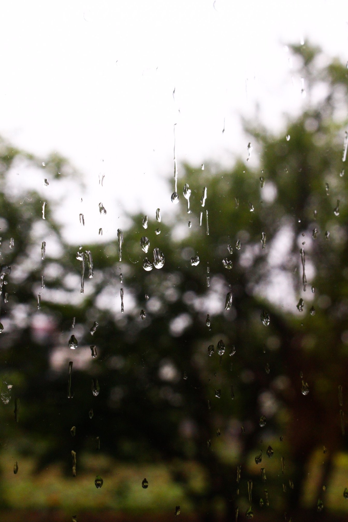 雨の季節の、雨の日特典