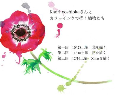 12/16(土) イラストレーターKaori yoshiokaさんと カラーインクで描く植物たち