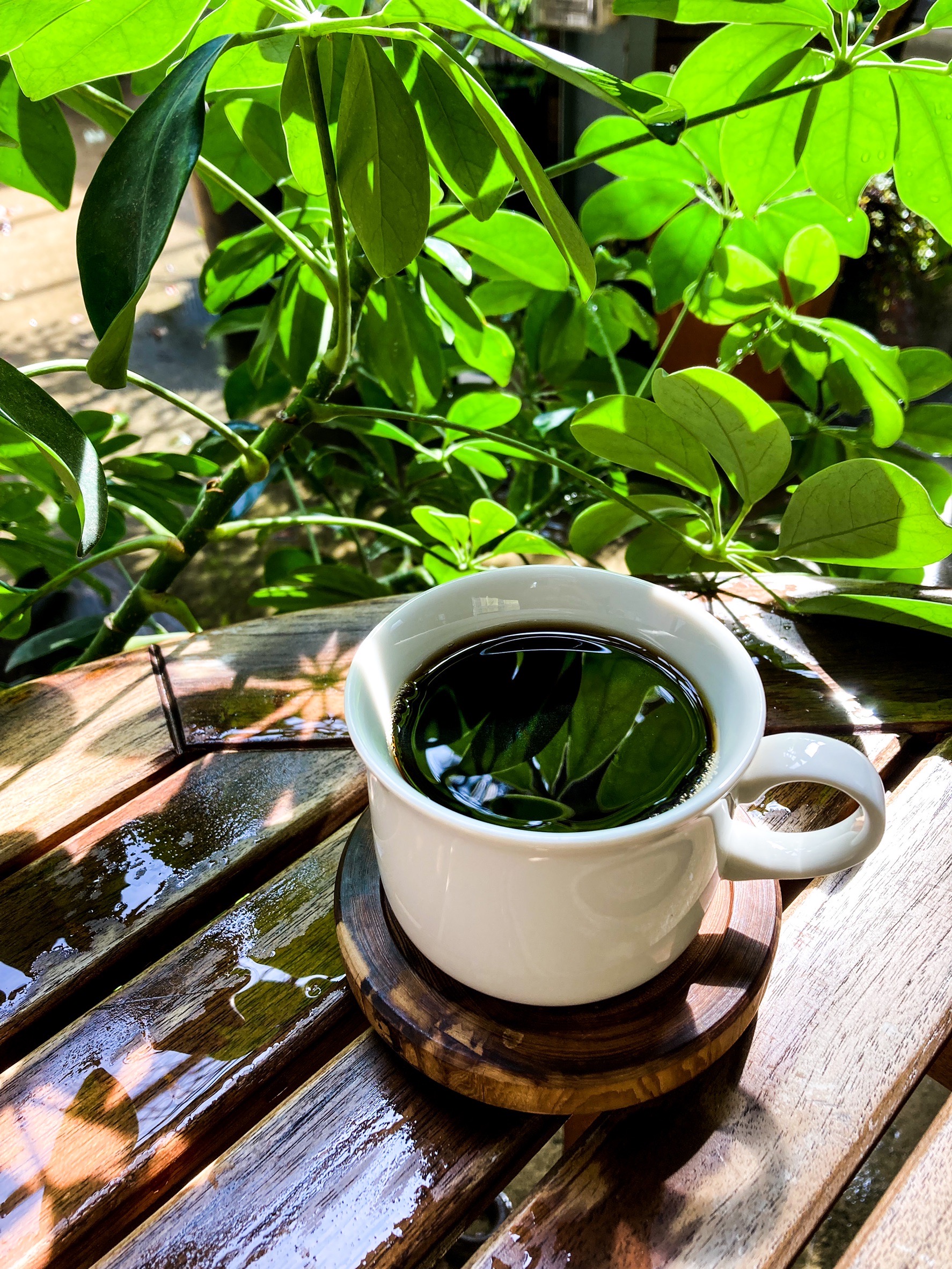 【10/4(火)より】コーヒー・紅茶、価格改定のお知らせ